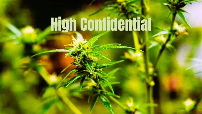 Canabinoizi și terpene