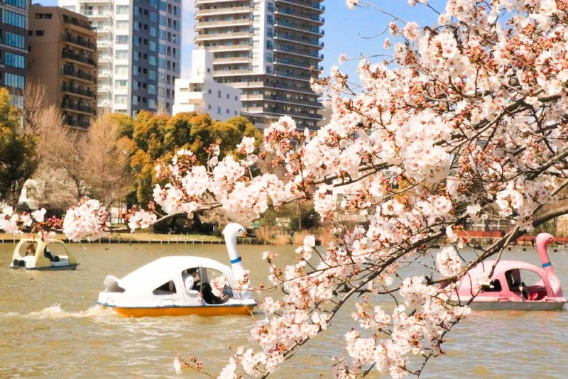 Cunoașteți Tokyo, Japonia