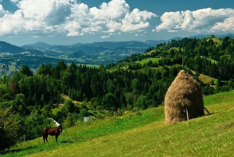 Transilvania turism