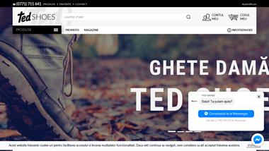 Ted Shoes