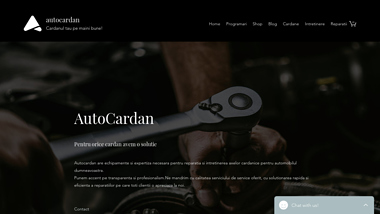 Service reparatii cardane si componente