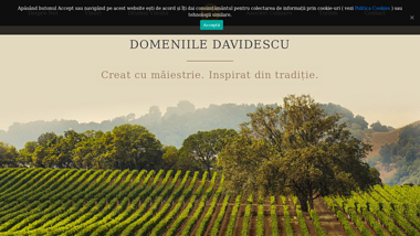 DOMENIILE DAVIDESCU - Creat cu maiestrie. Inspirat din traditie