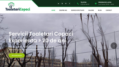 Toaletari Arbori Bucuresti