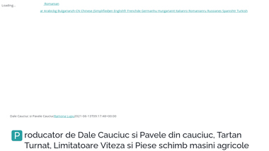 Dale Cauciuc si Pavele din Cauciuc