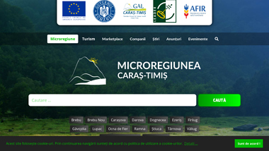 Microregiunea Caras-Timis