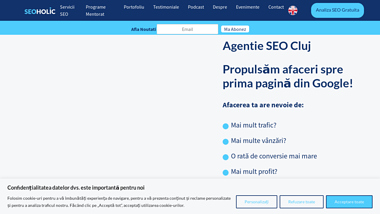 SEOholic - Agentie SEO